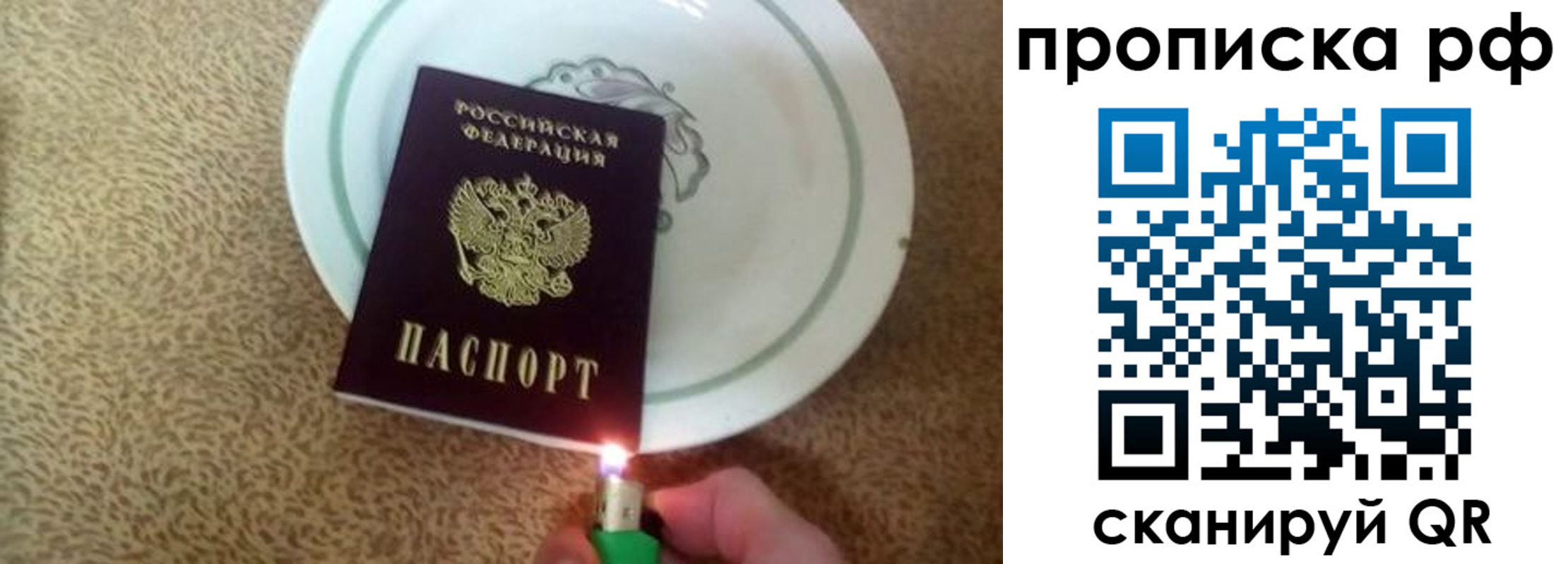 прописка в квартире в Суворове